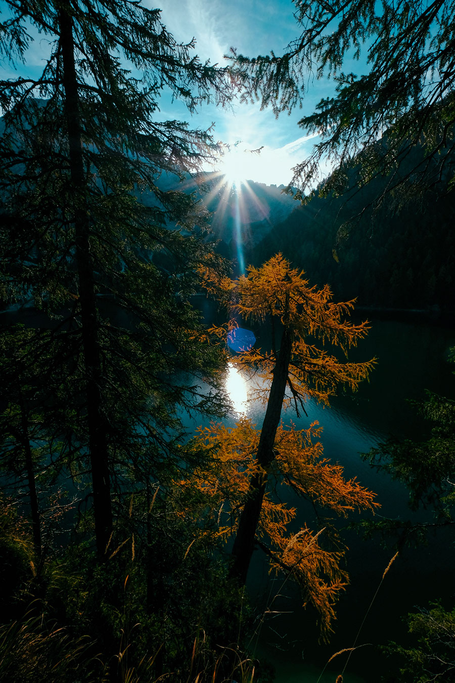 Adirondack mountains through trees at sunrise